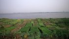 Congo-Brazzaville: la société italienne Eni lance une unité de production d’huile dans le sud du pays