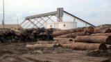 Congo-Brazzaville: les autorités veulent développer la valorisation du bois